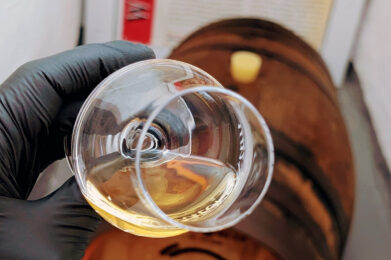 Mercator Rum trifft auf Websters Bier. Eine irre Geschichte! Diese Geschichte erzählt euch Lennart am 17.10.2025 bei unserem absolut exklusiven, 2,5 Stunden dauernden Tasting für Rum- und Bierliebhaber. Foto: © MERCATOR SPIRITS – Alle Rechte vorbehalten.